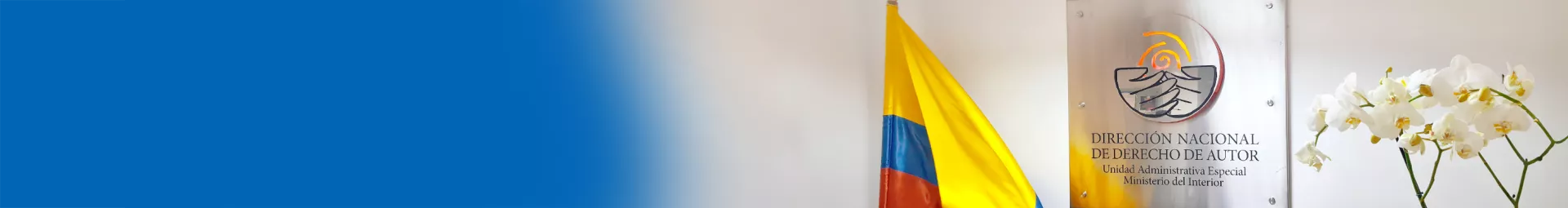 Banner_titulo_DNDA