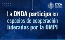 La dnda participa banner